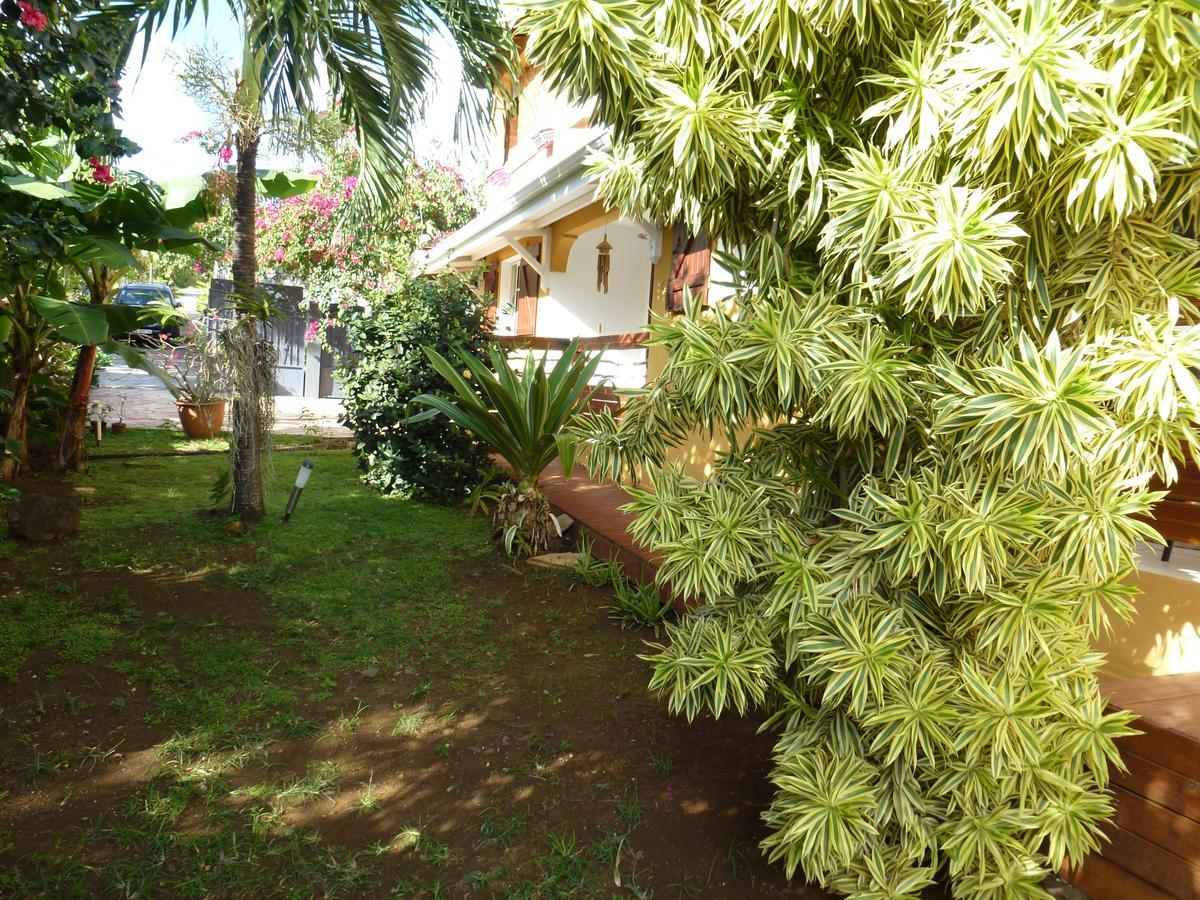 Kreyol Lodges - Suite Kayou Deshaies Ngoại thất bức ảnh
