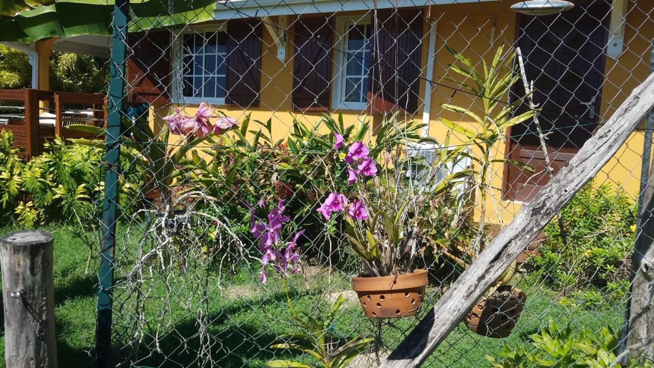 Kreyol Lodges - Suite Kayou Deshaies Ngoại thất bức ảnh